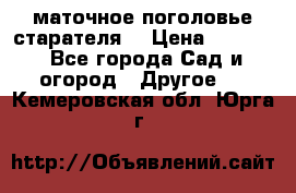 маточное поголовье старателя  › Цена ­ 3 700 - Все города Сад и огород » Другое   . Кемеровская обл.,Юрга г.